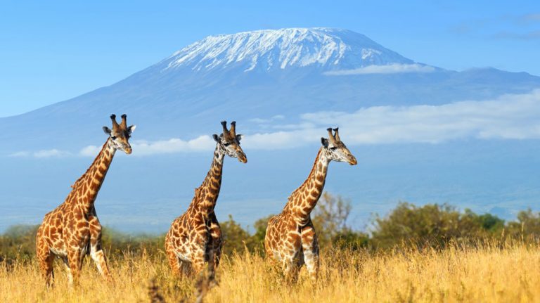 Parque-Nacional-de-Amboseli
