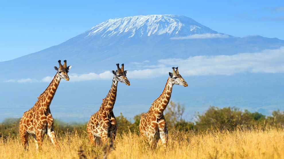 Parque-Nacional-de-Amboseli