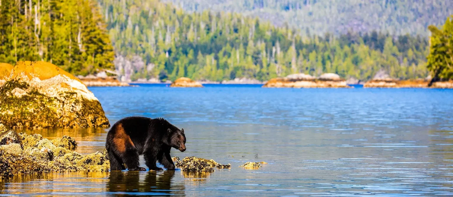 lac-delage-quebec