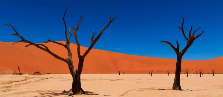 sossuvlei.