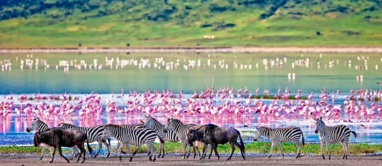 crater-ngorongoro