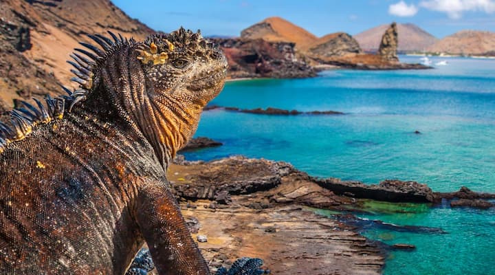 galápagos