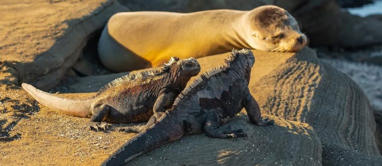 parque-nacional-galapagos-santa-cruz