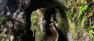 ruta-levada-de-ribeiro-frio-madeira