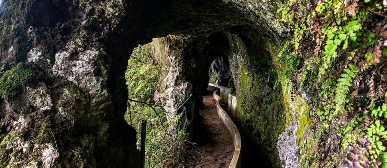 ruta-levada-de-ribeiro-frio-madeira