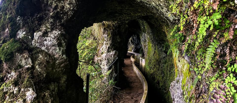 ruta-levada-de-ribeiro-frio-madeira